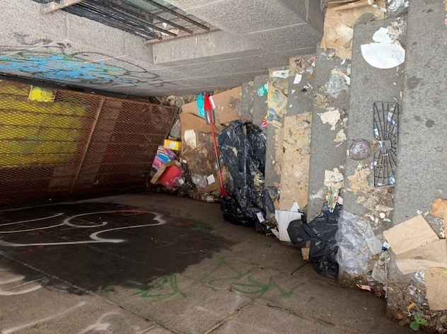 Emergency Biohazard Remediation — Outdoor Stairwell